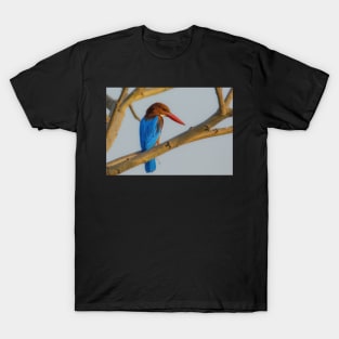Colourful Kingfisher T-Shirt